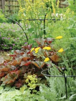 Essex Plant Supports -Garden Care Specialty Store 37423 280 tif