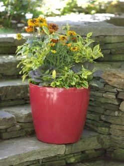 Viva Round Self-Watering Rolling Planter, 17.25” Diameter -Garden Care Specialty Store 39326 046 tif