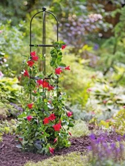 Essex Round Trellises -Garden Care Specialty Store 39544 2267 tif