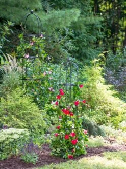 Essex Round Trellises -Garden Care Specialty Store 39545 2286 tif