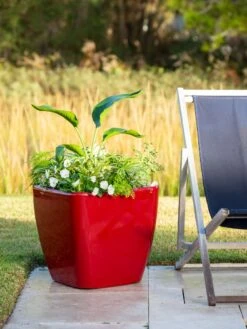 Viva Square Self-Watering Rolling Planter, 20" Diameter, Set Of 2 4 Viva Square Self-Watering Rolling Planter, 20" Diameter, Set Of 2 -Garden Care Specialty Store 3 4 crop 8612930 0035 tif