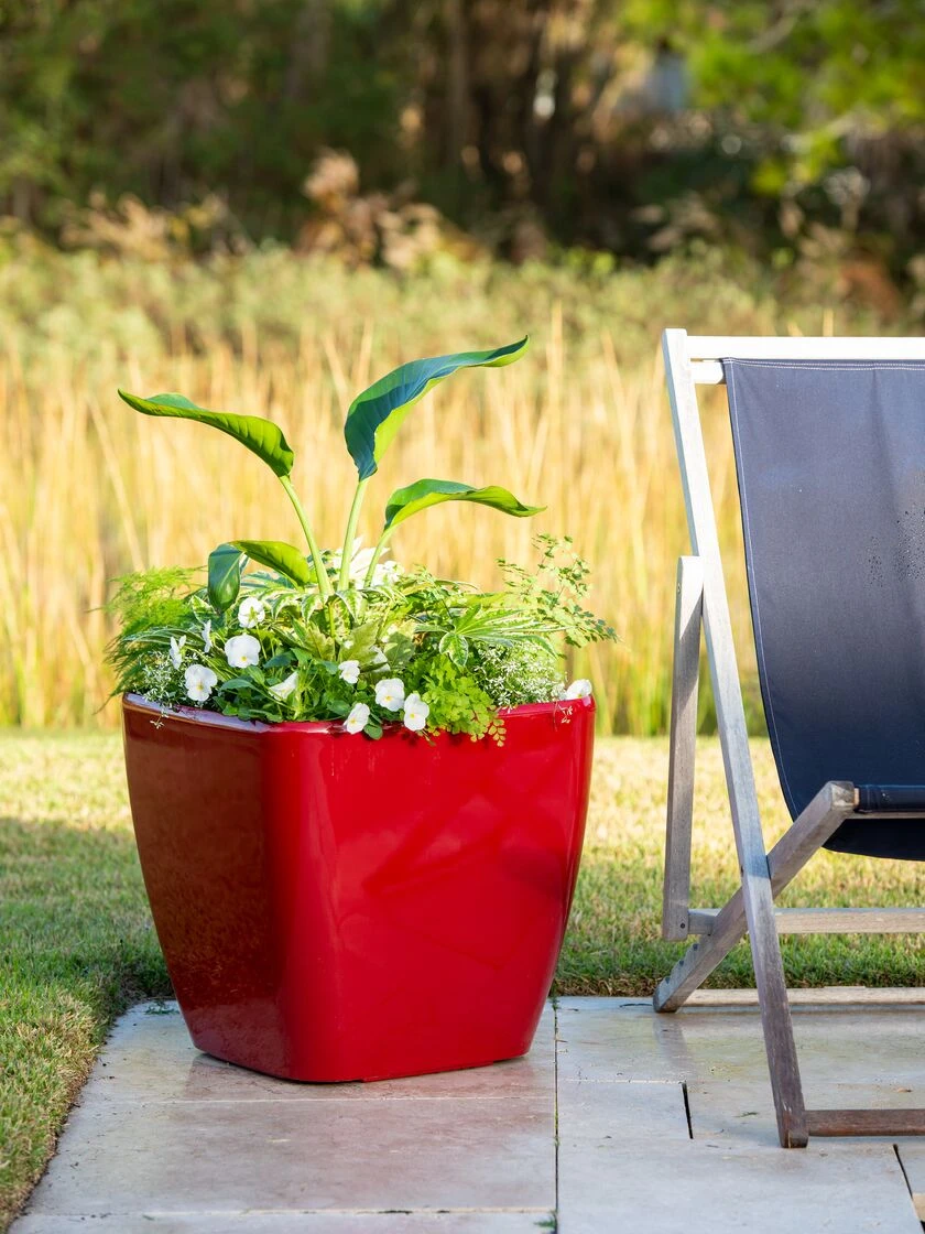 Viva Square Self-Watering Rolling Planter, 20" Diameter, Set of 2 Viva Square Self-Watering Rolling Planter, 20" Diameter, Set Of 2 -Garden Care Specialty Store 3 4 crop 8612930 0035 tif