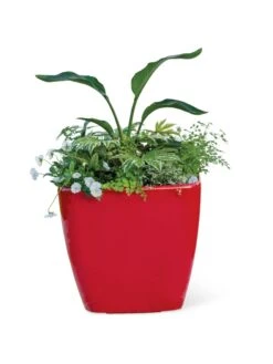 Viva Square Self-Watering Rolling Planter, 20" Diameter, Set Of 2 7 Viva Square Self-Watering Rolling Planter, 20" Diameter, Set Of 2 -Garden Care Specialty Store 3 4 crop 8612930 0037 tif