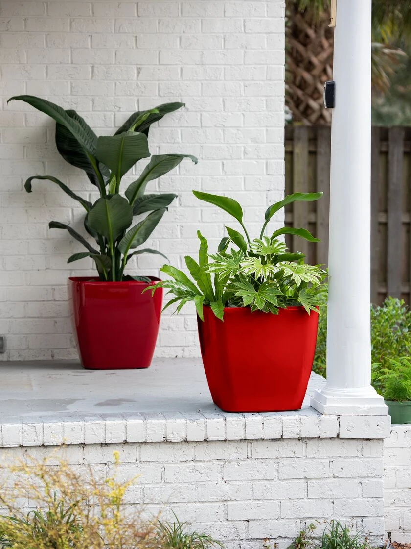 Viva Square Self-Watering Rolling Planter, 20" Diameter, Set of 2 Viva Square Self-Watering Rolling Planter, 20" Diameter, Set Of 2 -Garden Care Specialty Store 3 4 crop 8612930 10027 viva square self watering rolling planter 20 inch diameter set of 2