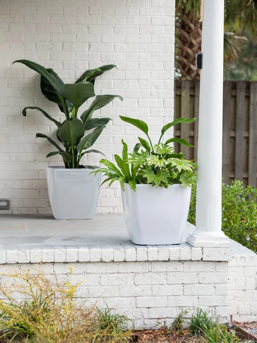 Viva Square Self-Watering Rolling Planter, 20" Diameter, Set of 2 Viva Square Self-Watering Rolling Planter, 20" Diameter, Set Of 2 -Garden Care Specialty Store 3 4 crop 8612930 10031