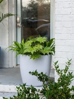 Viva Round Self-Watering Rolling Planter, 20" Diameter, Set Of 2 -Garden Care Specialty Store 3 4 crop 8612933 0025 tif