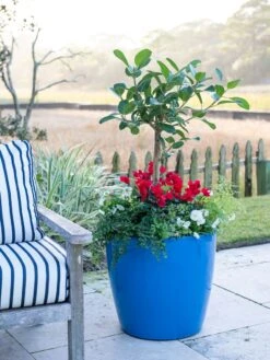 Viva Round Self-Watering Rolling Planter, 20" Diameter, Set Of 2 -Garden Care Specialty Store 3 4 crop 8612933 5312 tif