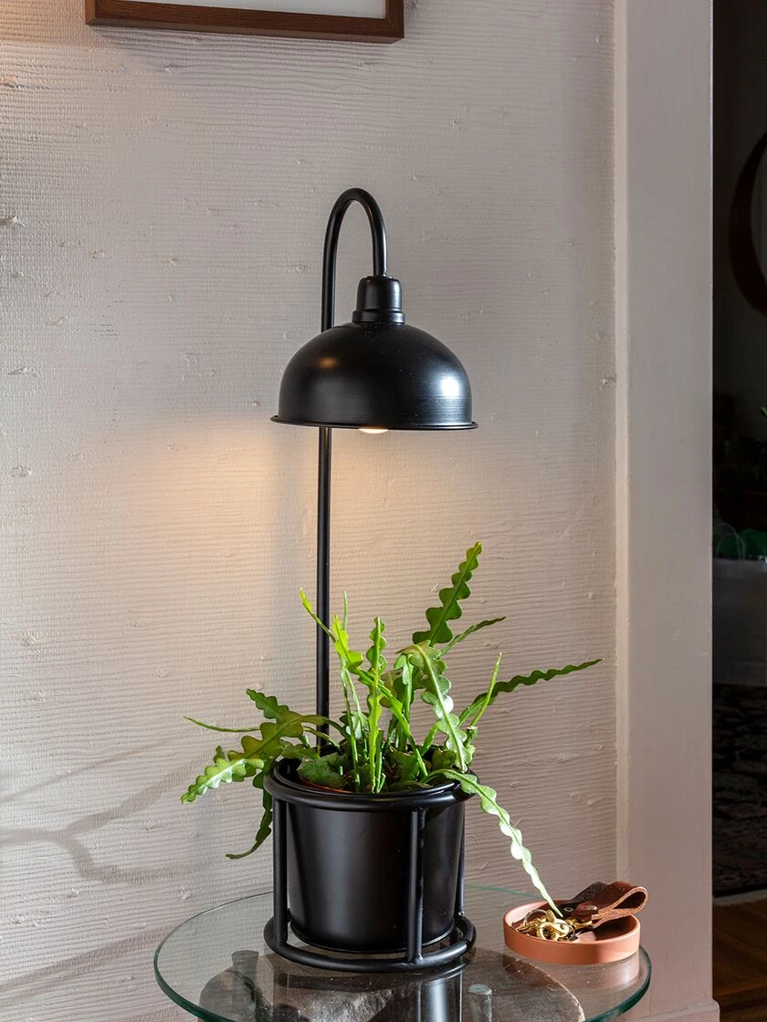 Kira Grow Light Tabletop Planter Kira Grow Light Tabletop Planter -Garden Care Specialty Store 3 4 crop 8613233 01V kira grow light tabletop planter