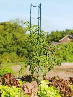 Stacking Tomato Ladders, Set Of 6 -Garden Care Specialty Store 40309 100 tif
