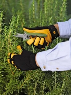 Women's Gold Leaf Soft Touchโข Gloves