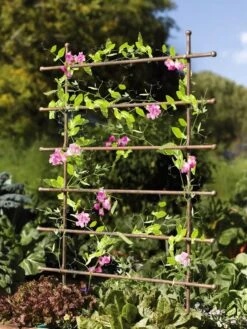 Jardin Ladder Trellis -Garden Care Specialty Store 8587107 083 tif