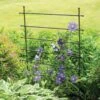Jardin Ladder Trellis -Garden Care Specialty Store 8587107 1651 tif