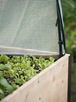 Protection Frame & Covers, 2' X 8' -Garden Care Specialty Store 8587631 265 tif