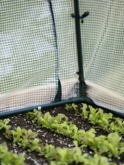 Protection Frame & Covers, 2' X 8' -Garden Care Specialty Store 8587631 271 tif