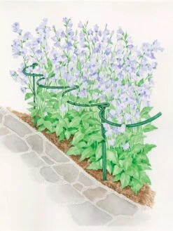 Tidy Path Supports -Garden Care Specialty Store 8588403 003 1