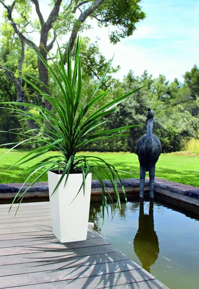 Lechuza® Cubico Color Tall Self-Watering Planters Lechuza® Cubico Color Tall Self-Watering Planters -Garden Care Specialty Store 8589485 01V tif