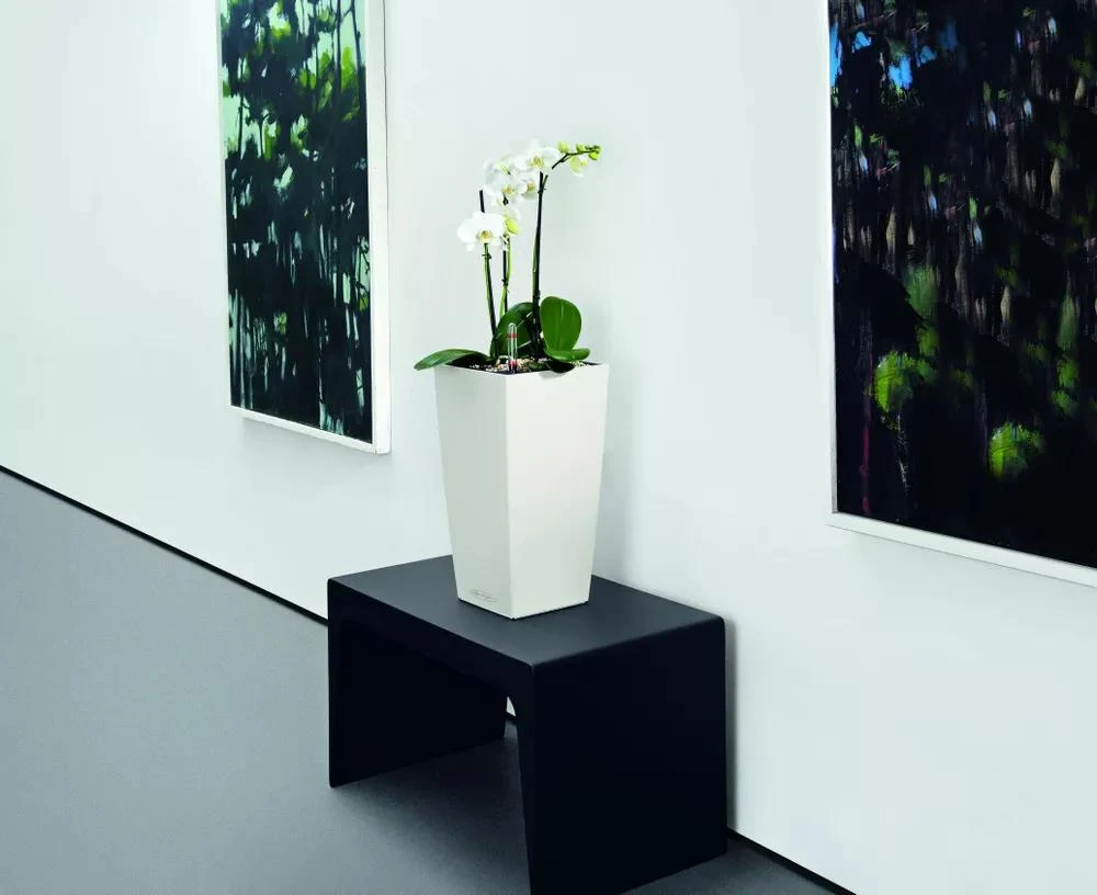 Lechuza® Cubico Color Tall Self-Watering Planters Lechuza® Cubico Color Tall Self-Watering Planters -Garden Care Specialty Store 8589485 03V tif