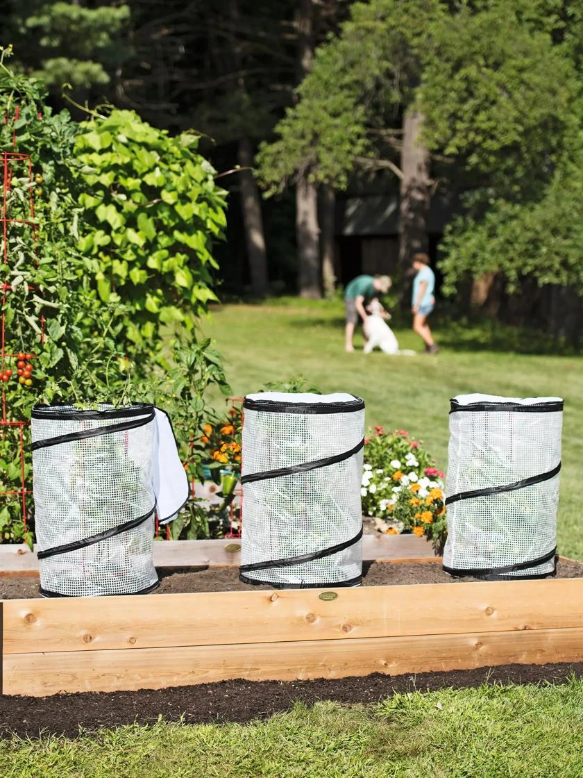 Pop-Up Tomato Accelerator Pop-Up Tomato Accelerator -Garden Care Specialty Store 8589749 2212 tif