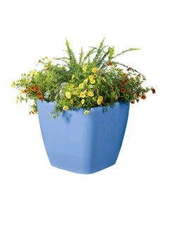 Viva Square Self-Watering Rolling Planter, 14" Diameter -Garden Care Specialty Store 8589777BL 6080 tif