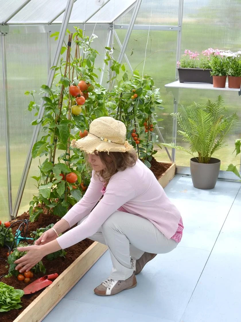 Canopia® by Palram Essence™ Greenhouse, 8' x 12' Canopia® By Palram Essence™ Greenhouse, 8' X 12' -Garden Care Specialty Store 8591356 04V tif