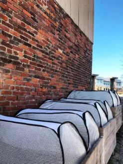 Row Shelter Accelerator 4 Row Shelter Accelerator -Garden Care Specialty Store 8591990 01IN tif