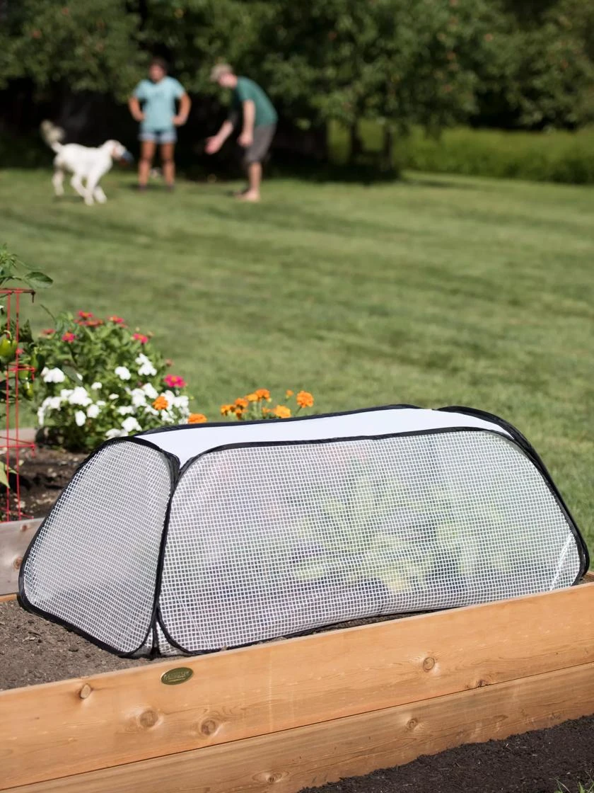 Row Shelter Accelerator Row Shelter Accelerator -Garden Care Specialty Store 8591990 2182 tif