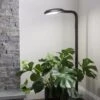 Agrobrite Floor Plant Lamp -Garden Care Specialty Store 8592053 0215 tif