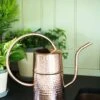 Copper Indoor Watering Can -Garden Care Specialty Store 8593724 5369 tif