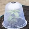 Large Garden Cloches, Set Of 3 2 Large Garden Cloches, Set Of 3 -Garden Care Specialty Store 8593984 345 tif