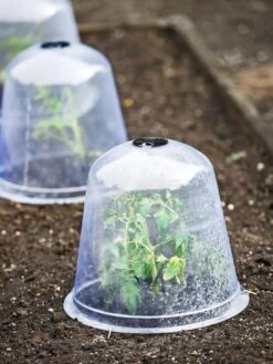 Large Garden Cloches, Set Of 3 -Garden Care Specialty Store 8593984 9432 tif