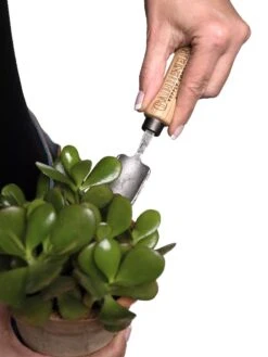 Gardener's Lifetime Mini Trowel -Garden Care Specialty Store 8594146 0111 tif