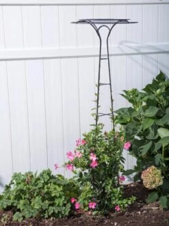 Essex Tuteur, 63" -Garden Care Specialty Store 8594162 0023 tif