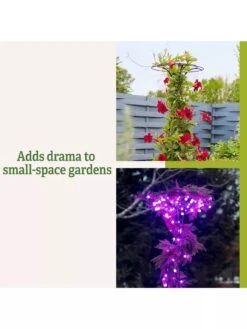 Essex Tuteur, 63" -Garden Care Specialty Store 8594162 3