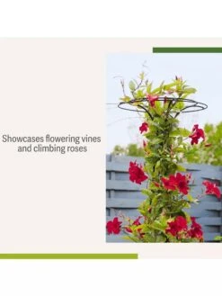 Essex Tuteur, 63" -Garden Care Specialty Store 8594162 4