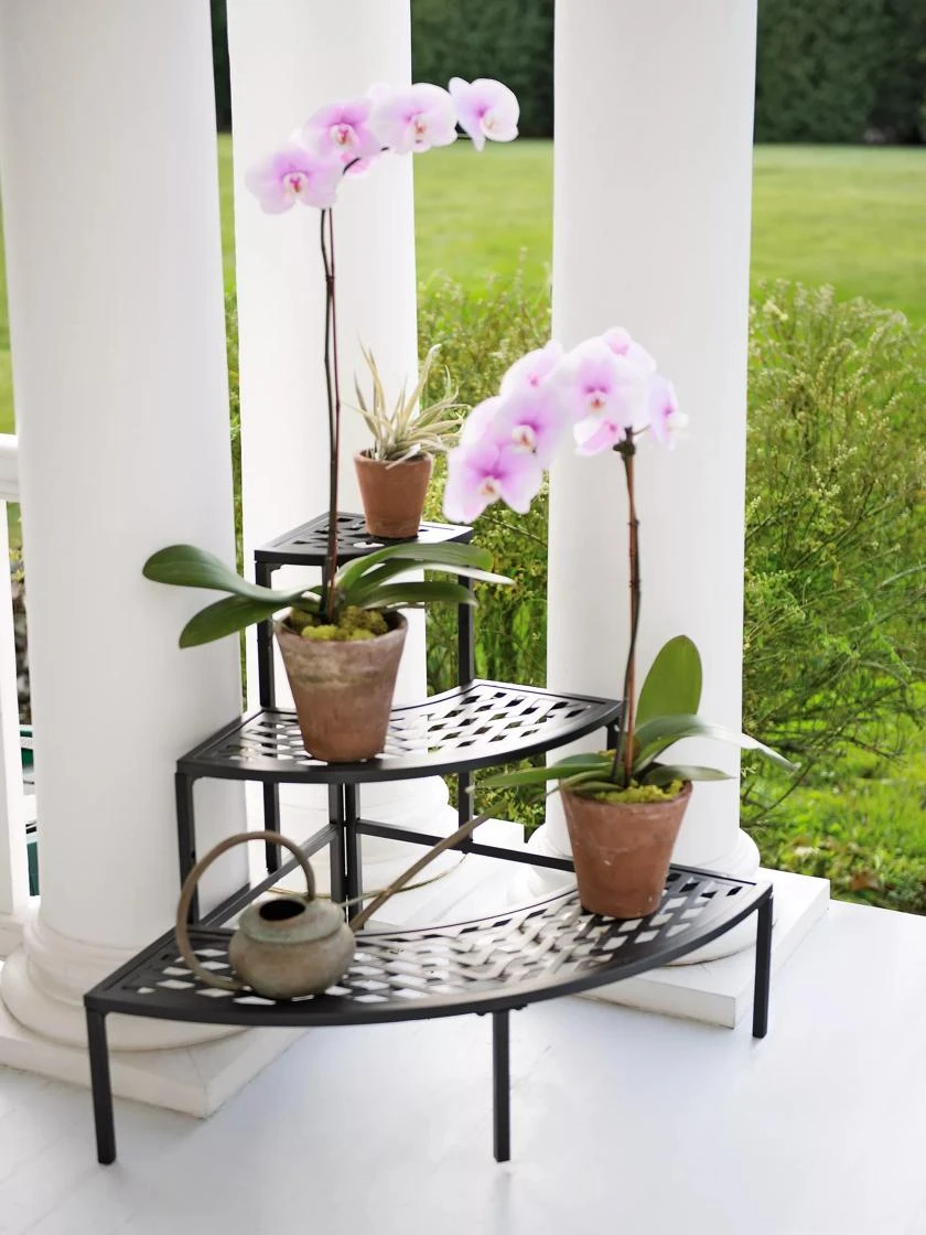 Quarter-Round Lattice Plant Stand Quarter-Round Lattice Plant Stand -Garden Care Specialty Store 8596372 6777 tif