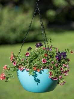 Viva Self-Watering Hanging Basket, 14" Diameter -Garden Care Specialty Store 8596442 0859 tif