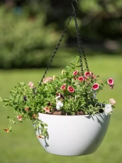 Viva Self-Watering Hanging Basket, 14" Diameter -Garden Care Specialty Store 8596442 0864 tif