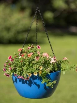 Viva Self-Watering Hanging Basket, 14" Diameter -Garden Care Specialty Store 8596442 0876 tif