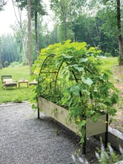 Self-Watering Elevated Planter Box, 2' X 8' 12 Self-Watering Elevated Planter Box, 2' X 8' -Garden Care Specialty Store 8596760 0046 tif