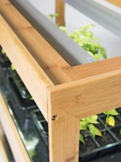 Bamboo Display LED Grow Light Garden -Garden Care Specialty Store 8597720 7795 tif