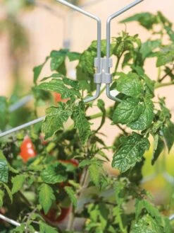 Gardener's Vertex Lifetime Tomato Cage -Garden Care Specialty Store 8598426 0011 tif