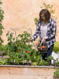 Gardener's Vertex Lifetime Tomato Cage -Garden Care Specialty Store 8598426 0026 tif