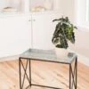 Plant Stand With Galvanized Tray -Garden Care Specialty Store 8599022 14588 tif