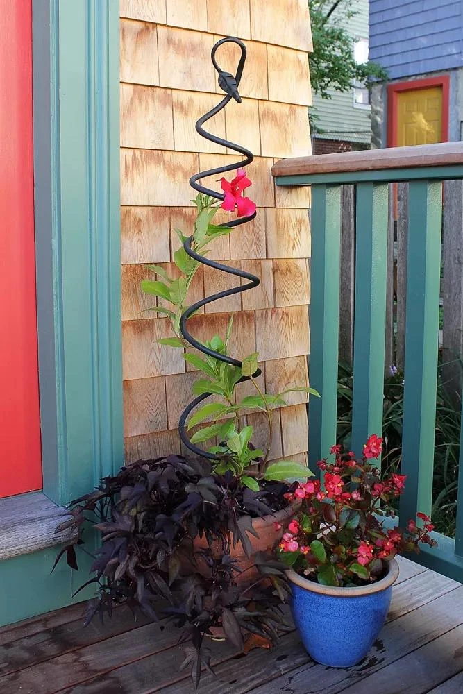 Achla Designs Spiral Trellis Achla Designs Spiral Trellis -Garden Care Specialty Store 8599480 01V tif
