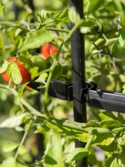 Titan Tomato Cages, Set Of 3 -Garden Care Specialty Store 8599861 0079 tif