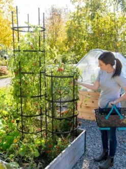 Titan Tomato Cages, Set Of 3 -Garden Care Specialty Store 8599861 0114 tif