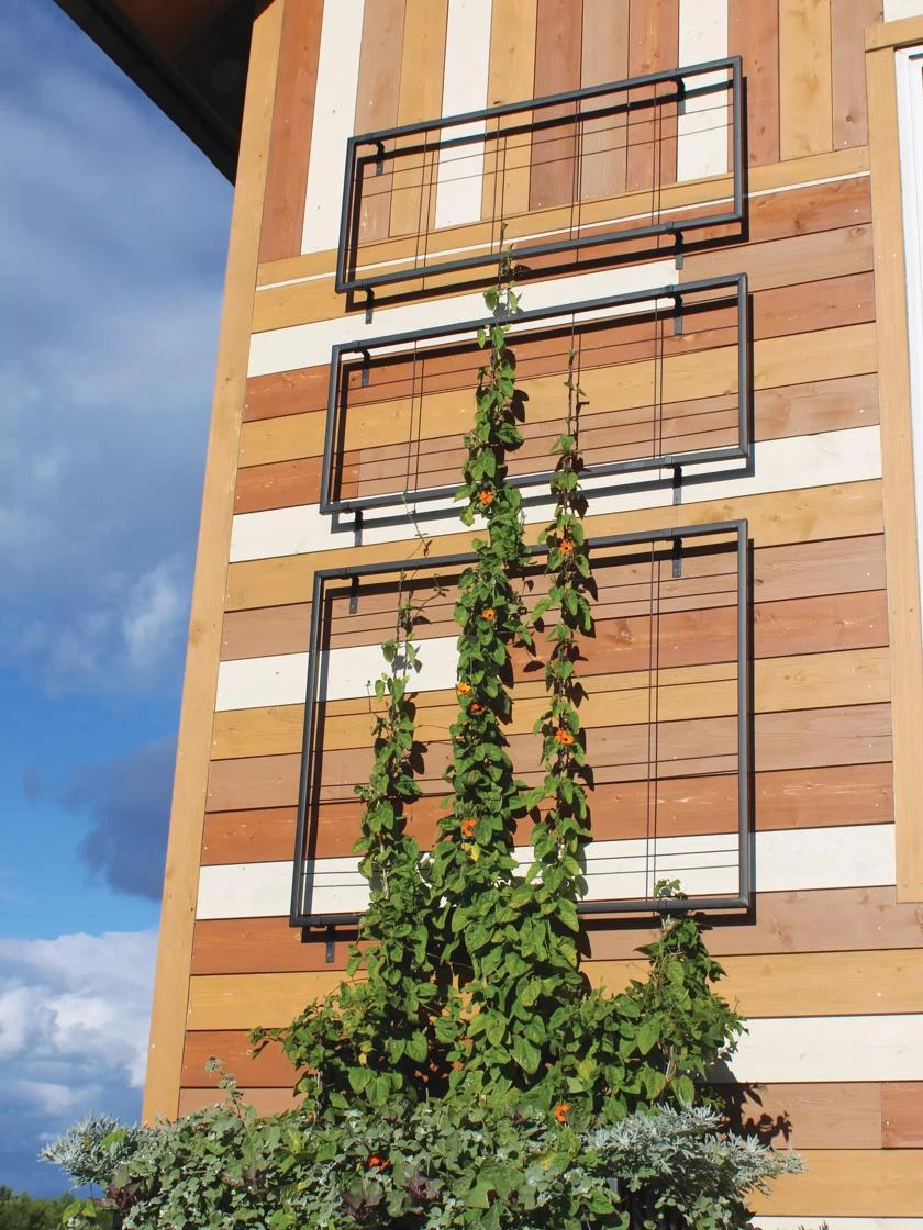 Exeter Wall Trellis Exeter Wall Trellis -Garden Care Specialty Store 8600049 7121 tif