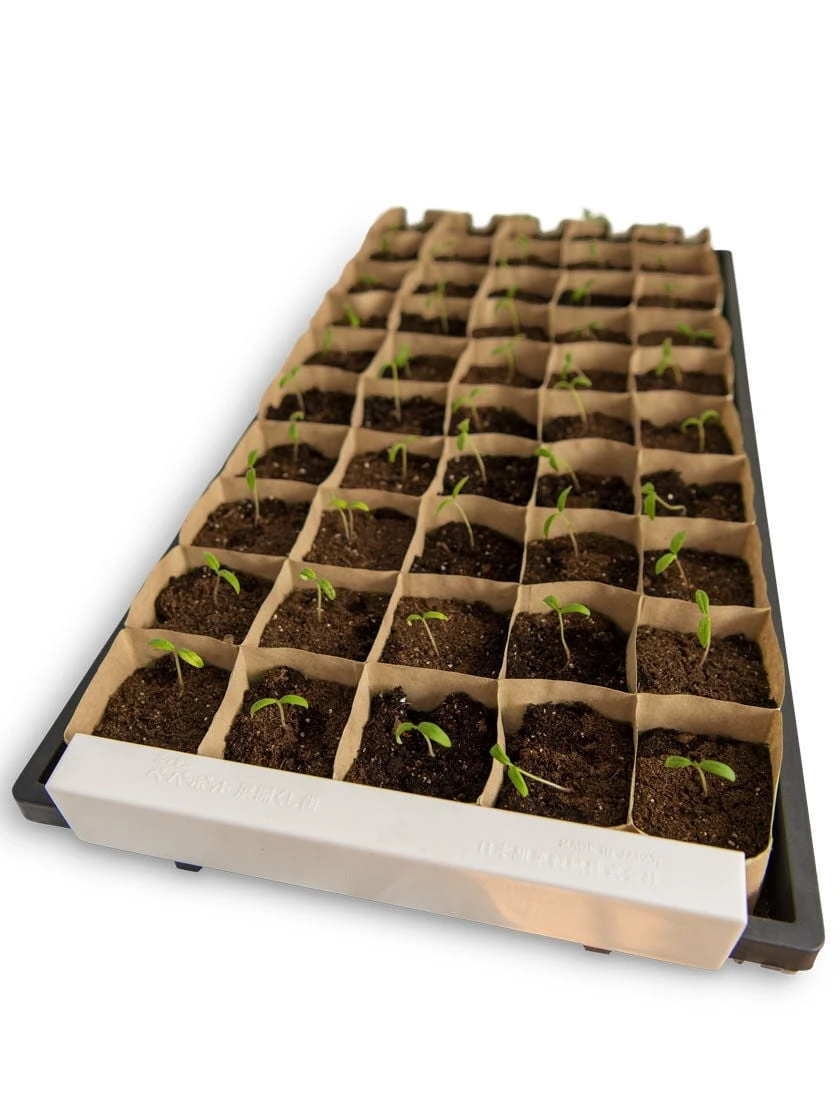 Paper Pot Opening Clips, Set of 2 Paper Pot Opening Clips, Set Of 2 -Garden Care Specialty Store 8600273 18527