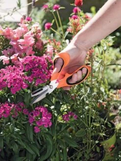 Gardener's Multi Purpose Scissors -Garden Care Specialty Store 8608655 19551 tif