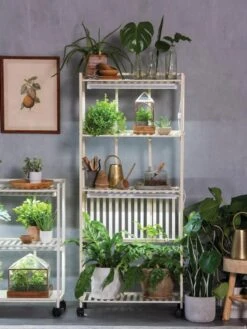 Oslo 4-Tier LED Grow Light Garden -Garden Care Specialty Store 8609188 4118 tif